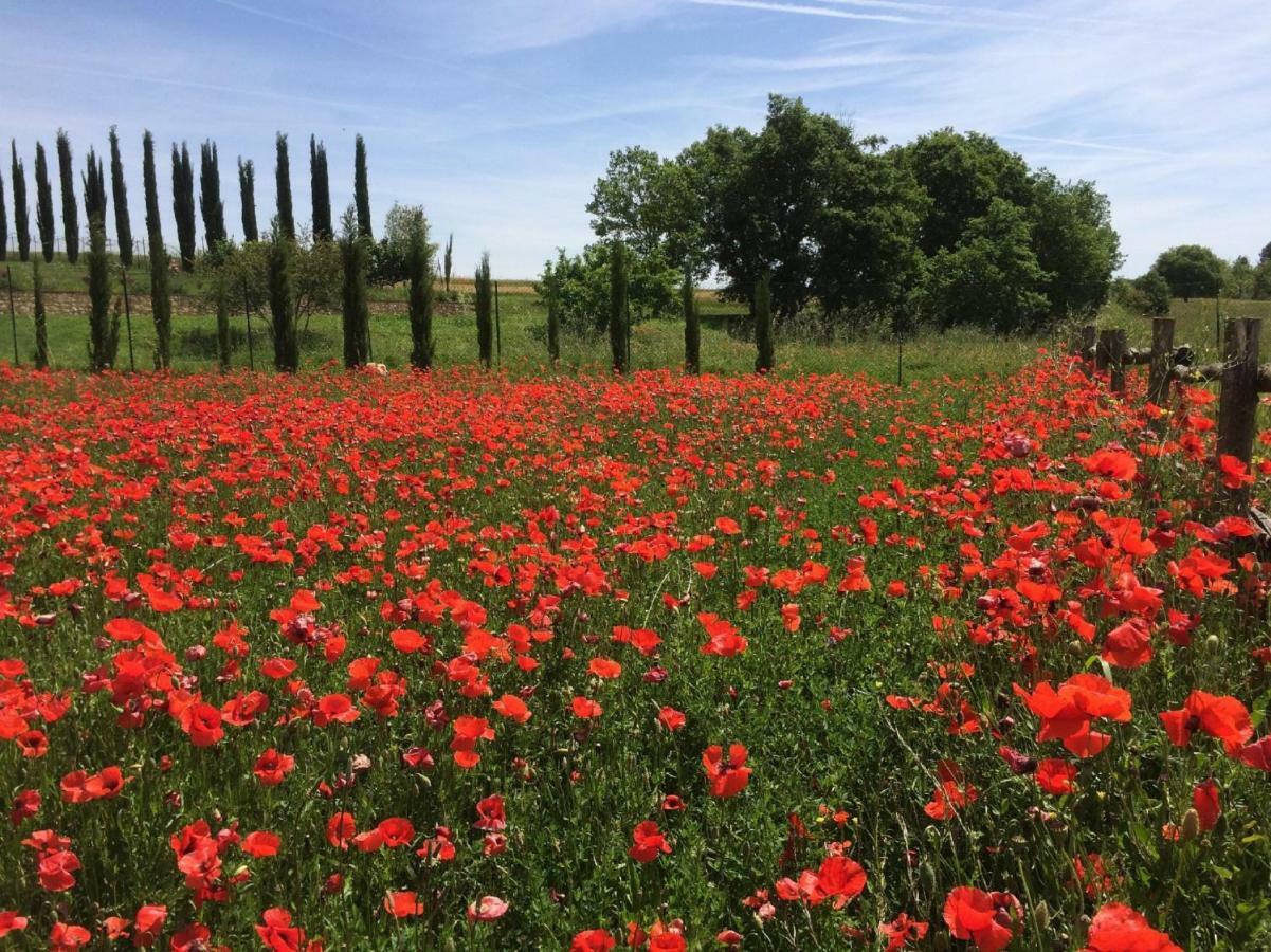 La Casa Del Fattore Monteriggioni Buitenkant foto